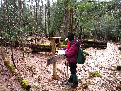 Ruth Bennett McDougal Dorrough; 5 3 Miles to Forest Road 443