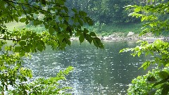 Allegheny River