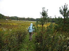 Ruth Bennett McDougal Dorrough; Hiking; NCT; Pennsylvania; PA-02