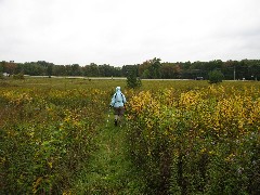 Ruth Bennett McDougal Dorrough; Hiking; NCT; Pennsylvania; PA-02