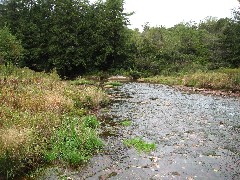 Hiking; NCT; Pennsylvania; PA-02