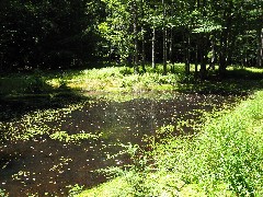 pond; PA NCT Hiking