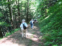 Ruth Bennett McDougal Dorrough; PA NCT Hiking