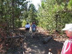 Ruth Bennett McDougal Dorrough; PA NCT Hiking