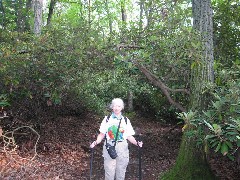 Ruth Bennett McDougal Dorrough; Hiking; NCT; Pennsylvania; PA-02