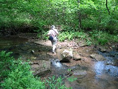 Ruth Bennett McDougal Dorrough; Hiking; NCT; Pennsylvania; PA-02