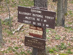 sign Entering Allegheny National Forest, Muzette Rd 1 mi, Forest Rd 145 3 mi , Kellettville 15 5 , New York State boundary 96 6 Hiking; NCT; Pennsylvania; PA-02