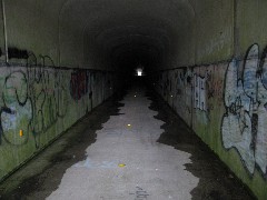 Sandy Creek Tunnel; Hiking; NCT; Pennsylvania; PA-02