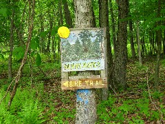 Bypass on the Allegheny River Trail