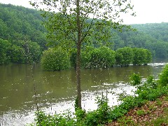 Allegheny River Trail