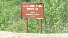 Big Beaver Borough Wetland; New Galilee PA 16141