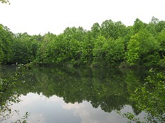 Slippery Rock Creek NCT PA