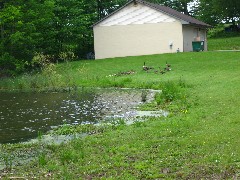 Geese; Hiking; NCT; Pennsylvania