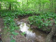 Hiking; NCT; Pennsylvania; PA-03