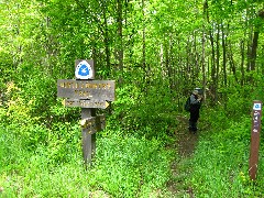 Ruth Bennett McDougal Dorrough; Hiking; NCT; Pennsylvania; PA-03