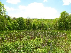 Hiking; NCT; Pennsylvania; PA-03