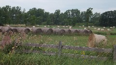 Baled Hay; NCT; E County Rd B; Point of Rocks Rd; Foxboro, WI