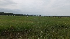 Baled Hay; NCT; E County Rd B; Foxboro, WI