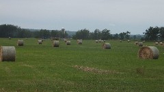 Baled Hay; NCT; E County Rd B; Foxboro, MI