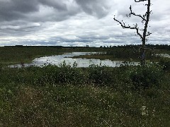 pond; NCT; Solon Springs, WI