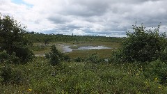 pond; NCT; Solon Springs, WI