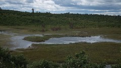 pond; NCT; Solon Springs, WI