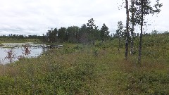 pond; NCT; Solon Springs, WI