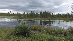 pond; NCT; Solon Springs, WI