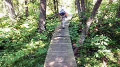 Ruth Bennet McDougal Dorrough McDougal Dorrough; Board Walk; NCT County Road P; Solon Springs, WI