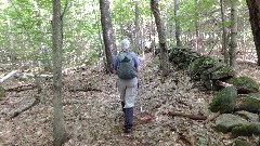 Ruth Bennett McDougal Dorrough; NET; M&M Trail, MA