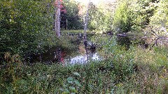 pond; NET; M&M Trail, MA