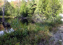 NET; M&M Trail, MA
