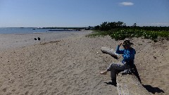 Ruth Bennett McDougal Dorrough; Hammonasset Beach State Park, Madison, CT