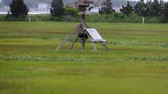 Hammonasset Osprey Camera; Hammonasset State Park; Guilford, CT