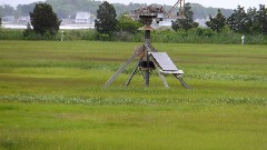 Hammonasset Osprey Camera; Hammonasset State Park; Guilford, CT