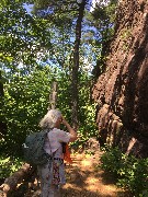 Ruth Bennett McDougal Dorrough; NET; Owl s Lair Cliff, CT